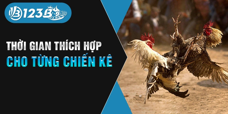 Thời gian thích hợp cho từng chiến kê