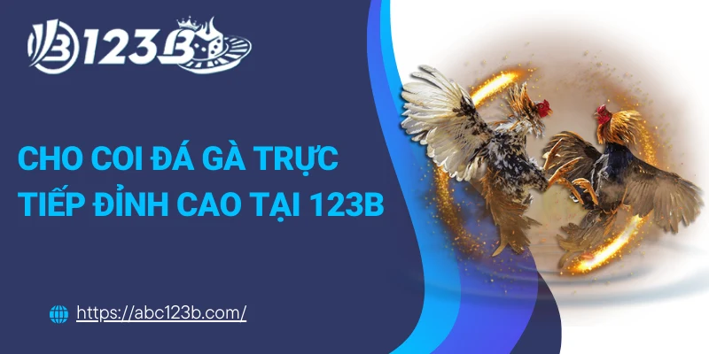 Cho coi đá gà trực tiếp đỉnh cao tại 123B