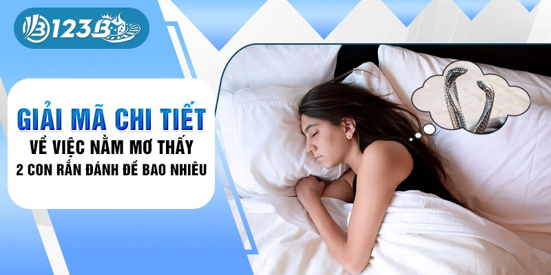 Giải mã chi tiết về việc nằm mơ thấy 2 con rắn đánh de bao nhiêu