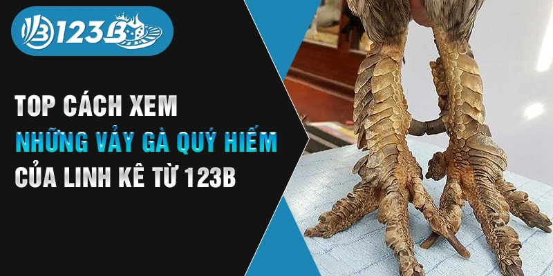 những vảy gà quý hiếm 123b